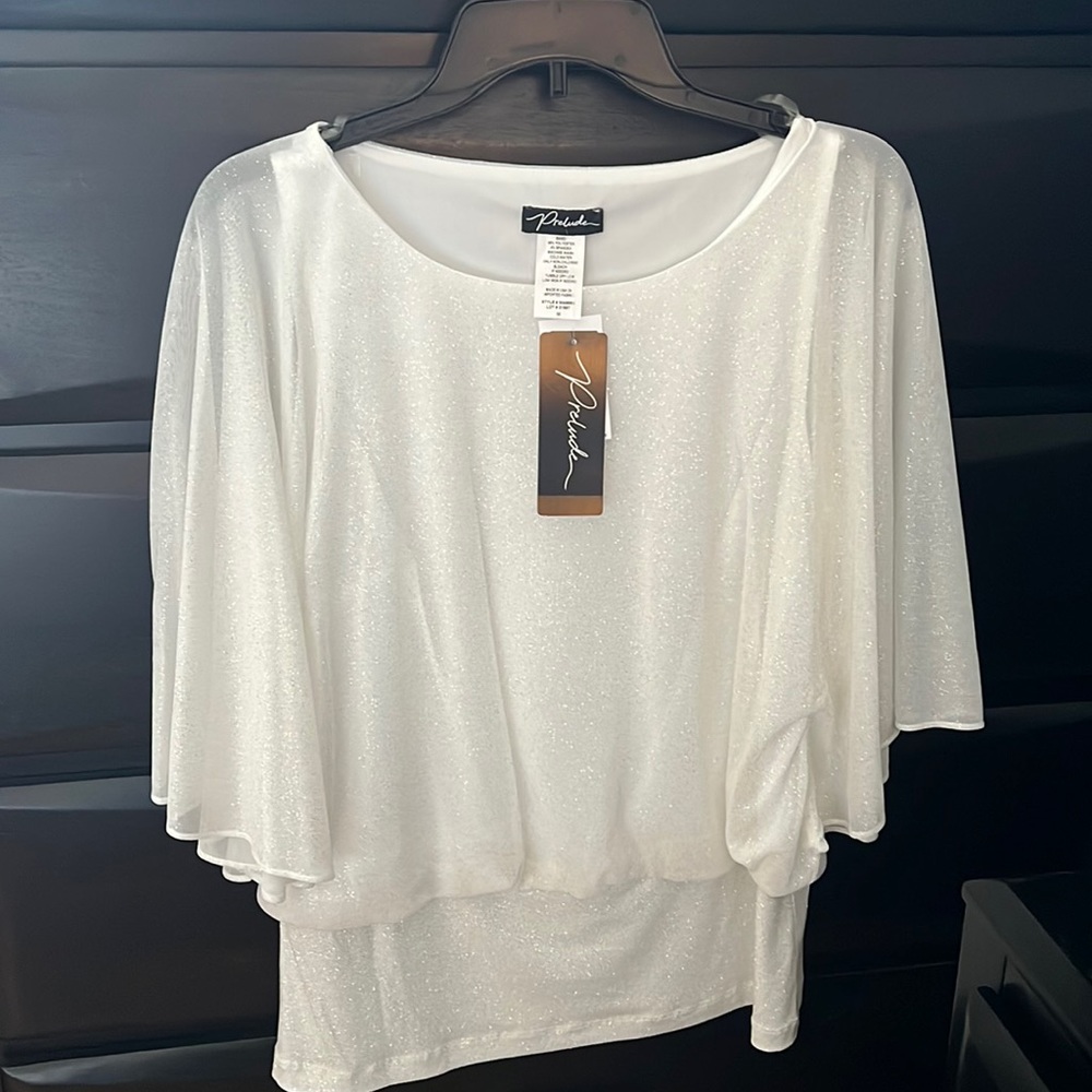 Dressy Blouse.  Sheer sleeves. Blousy Fit with fitted hemline.  Very flattering!